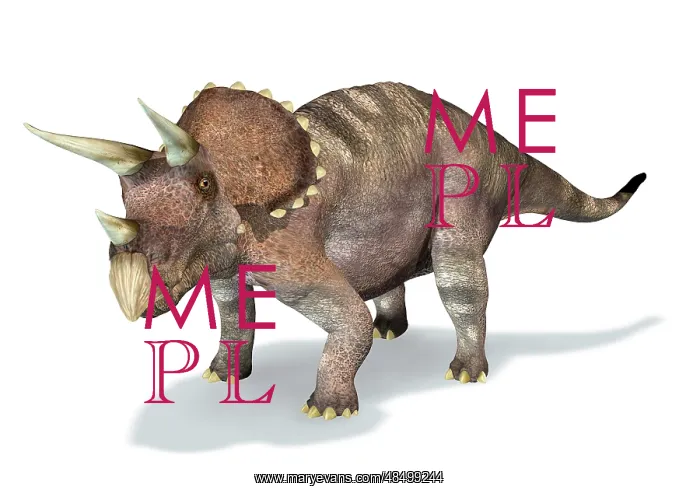 : 3D rendering of a Triceratops dinosaur : 3D rendering of a Triceratops dinosaur