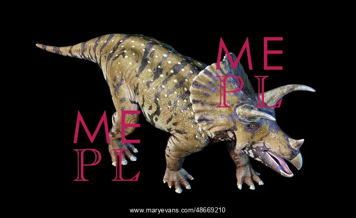 : 3D rendering of Triceratops dinosaur n black background : 3D rendering of Triceratops dinosaur n black background