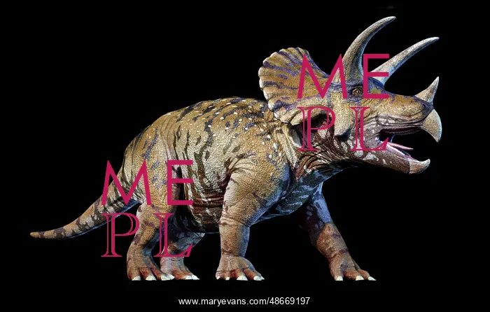 : 3D rendering of a Triceratops, perspective view : 3D rendering of a Triceratops, perspective view