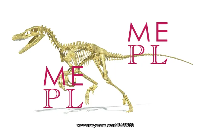 : 3D rendering of a Velociraptor dinosaur skeleton : 3D rendering of a Velociraptor dinosaur skeleton