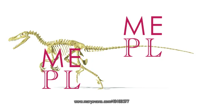 : 3D rendering of a Velociraptor dinosaur skeleton : 3D rendering of a Velociraptor dinosaur skeleton