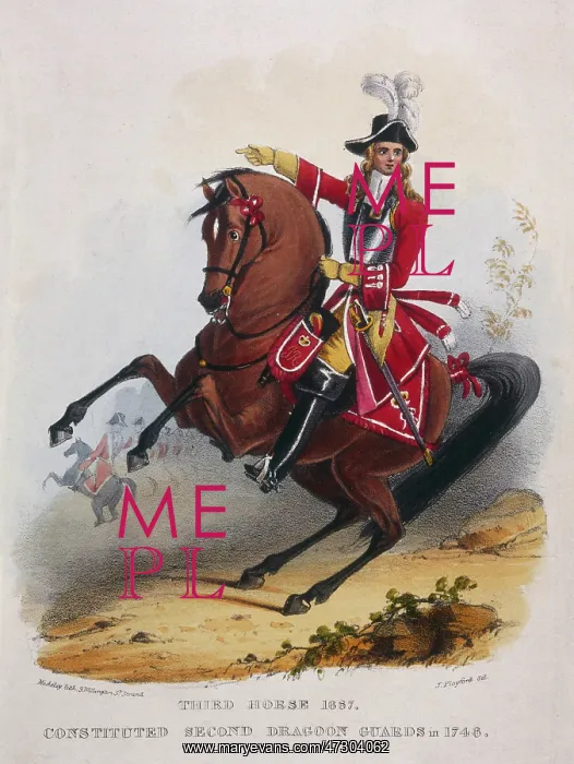 : 3RD HORSE / 1687 : 3RD HORSE / 1687