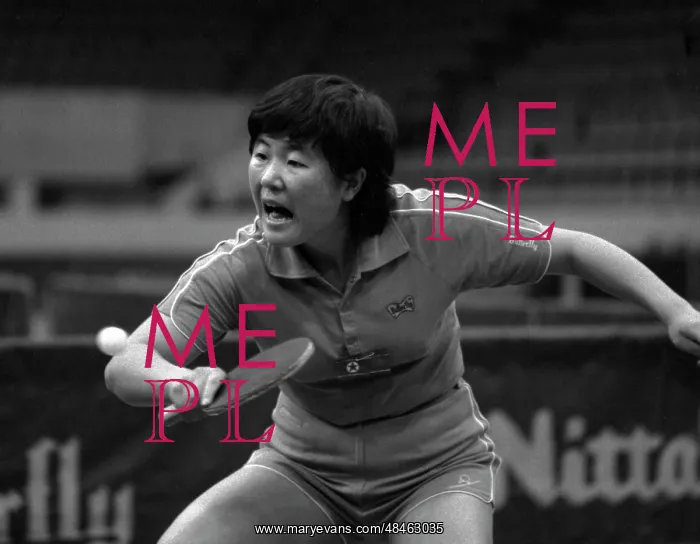  : 3rd International Ping Pong Competition