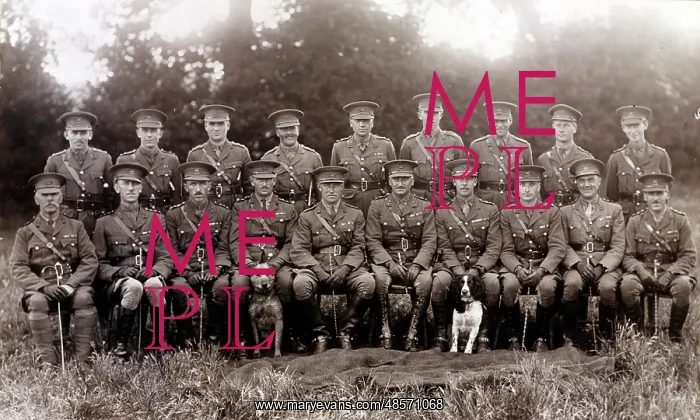  : 4 / 5th Battalion The Buffs (East Kent Regiment)