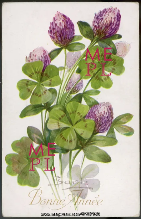  : 4-Leaf Clover - Barde
