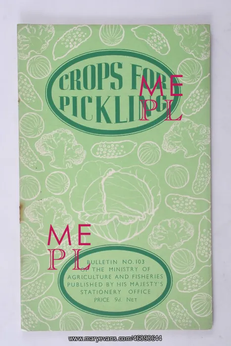 : 40s, 50s, publication, Crops For Pickling, illustration : 40s, 50s, publication, Crops For Pickling, illustration
