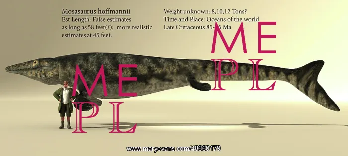 : A 45 feet long Mosasaurus next to an average male : A 45 feet long Mosasaurus next to an average male