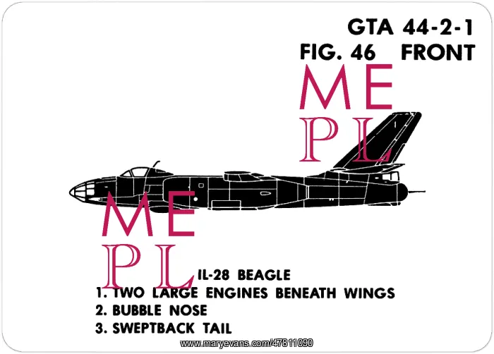 : 46 IL-28 Beagle : 46 IL-28 Beagle