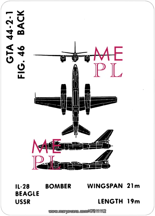: 46 a IL-28 Beagle : 46 a IL-28 Beagle