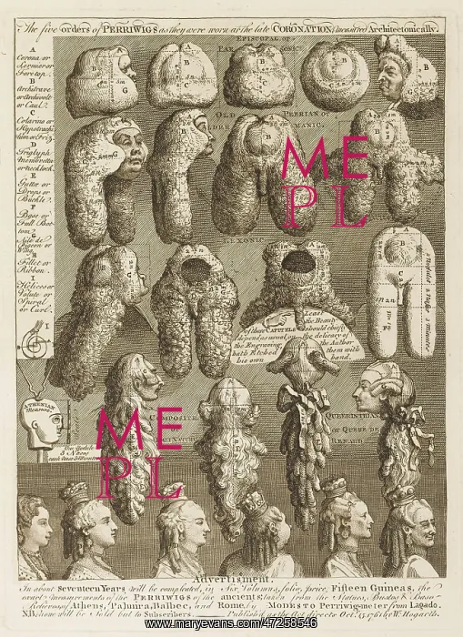 : 5 ORDERS OF PERIWIGS : 5 ORDERS OF PERIWIGS