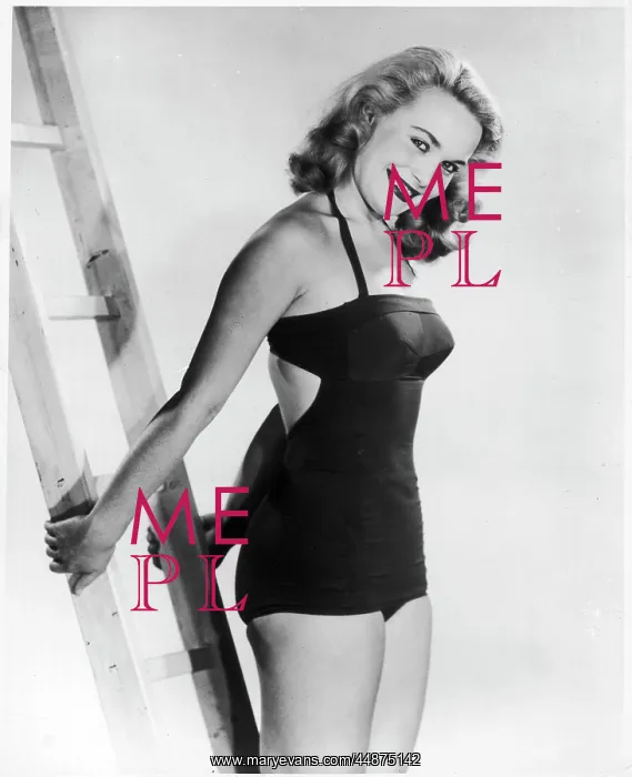 : 50s swimwear : 50s swimwear