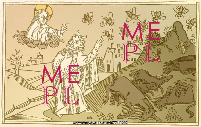 : 5th Plague of Egypt, Diseased Livestock : 5th Plague of Egypt, Diseased Livestock