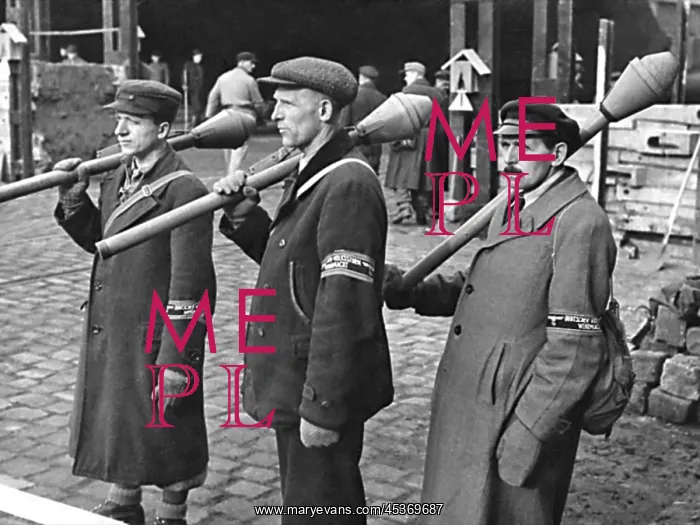: Some of the 60, 000 Volksstrum engaged in the Battle : Some of the 60, 000 Volksstrum engaged in the Battle