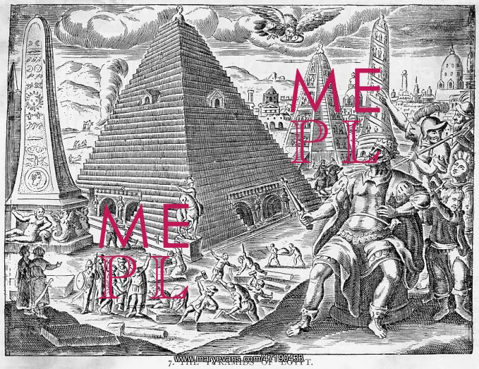 : 7 WONDERS / PYRAMIDS / PICAR : 7 WONDERS / PYRAMIDS / PICAR