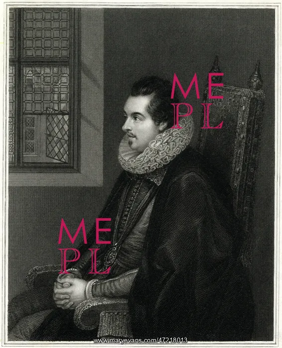 : 8TH BARON MOUNTJOY : 8TH BARON MOUNTJOY
