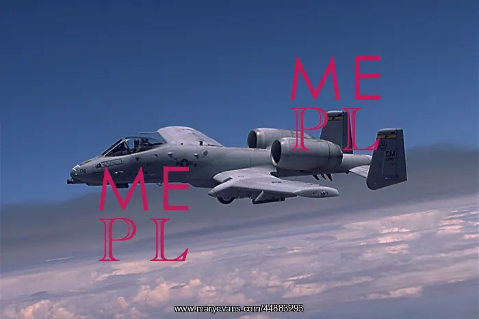  : A-10 Thunderbolt Fighter Jet