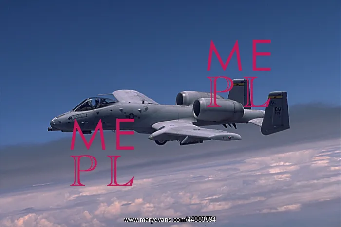  : A-10 Thunderbolt Fighter Jet