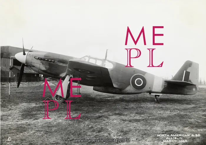 : An A-36A (NA-97) Mustang trialled by the RAF : An A-36A (NA-97) Mustang trialled by the RAF
