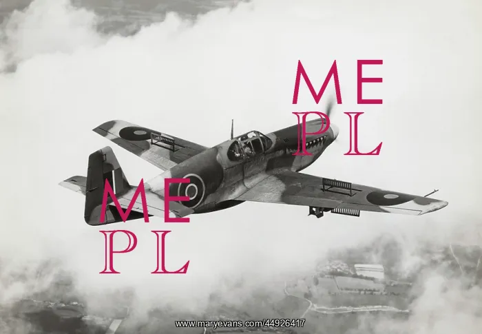 : An A-36A (NA-97) Mustang trialled by the RAF : An A-36A (NA-97) Mustang trialled by the RAF