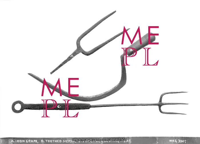 : (A.) Iron Grape, (B.)Toothed Sickle, (C.) for k for Roasting : (A.) Iron Grape, (B.)Toothed Sickle, (C.) for k for Roasting