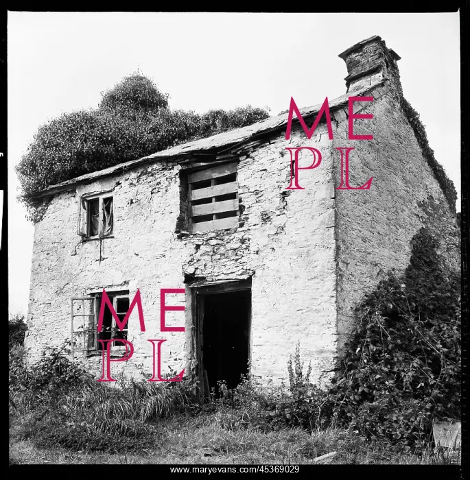 : An abandoned cottage. The location is unidentified : An abandoned cottage. The location is unidentified