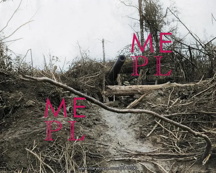 : Abandoned German howitzer, Western Front, WW1 : Abandoned German howitzer, Western Front, WW1