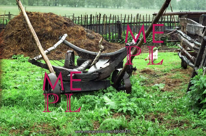 : Abandoned village, 1994 : Abandoned village, 1994