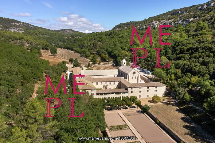 : Abbaye Notre-Dame de Senanque, Gordes, Provence, France : Abbaye Notre-Dame de Senanque, Gordes, Provence, France