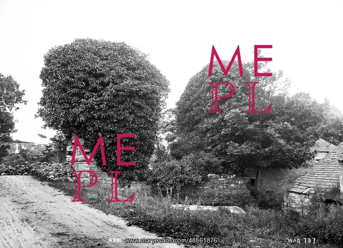 : Abbey Assarde, Ballyshannon : Abbey Assarde, Ballyshannon