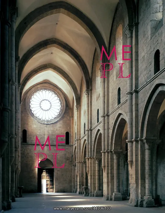 : Abbey of Fossanova, nave : Abbey of Fossanova, nave