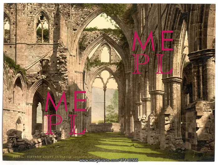 : Abbey interior, looking E. Tintern, England : Abbey interior, looking E. Tintern, England