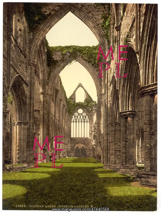 : Abbey interior, looking W. Tintern, England : Abbey interior, looking W. Tintern, England