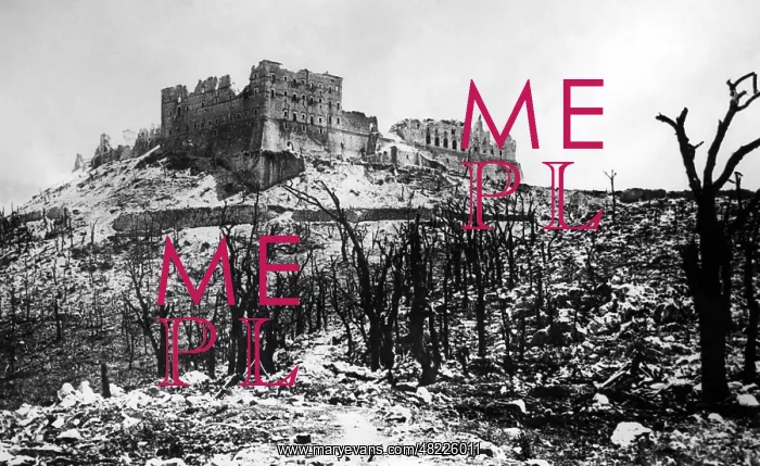 : The Abbey of Monte Cassino, 1944 : The Abbey of Monte Cassino, 1944