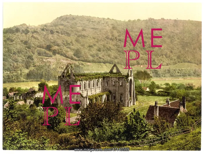 : Abbey S. W. II. Tintern, England : Abbey S. W. II. Tintern, England