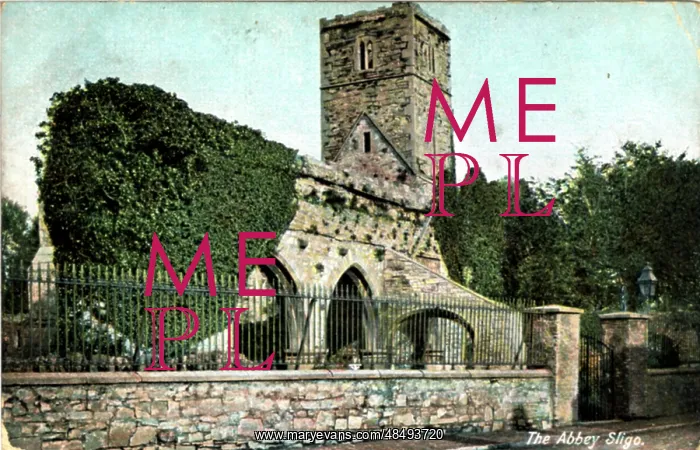 : The Abbey, Sligo, County Sligo : The Abbey, Sligo, County Sligo