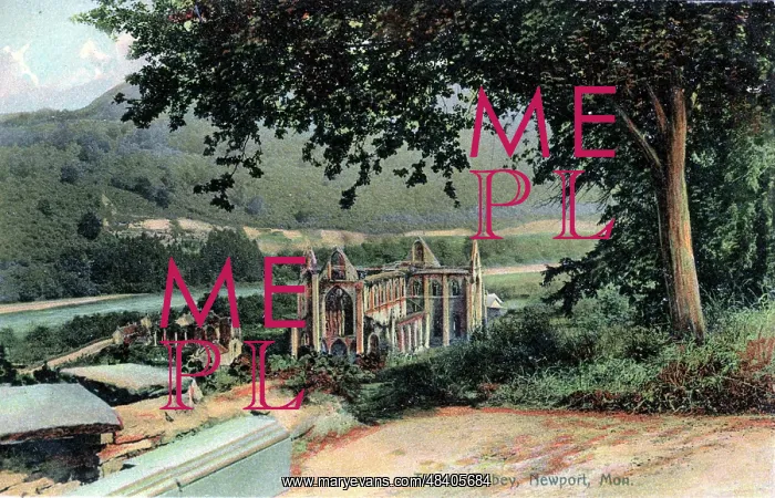  : The Abbey, Tintern, Monmouthshire