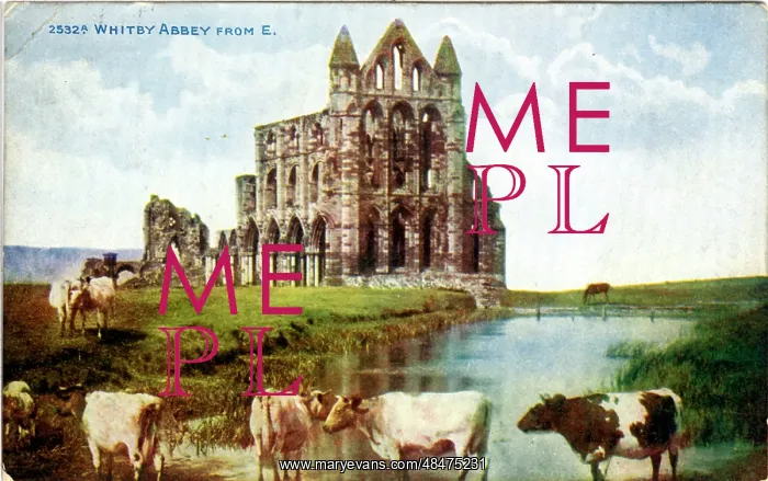 : The Abbey, Whitby, Yorkshire : The Abbey, Whitby, Yorkshire