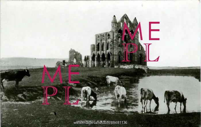 : The Abbey, Whitby, Yorkshire : The Abbey, Whitby, Yorkshire
