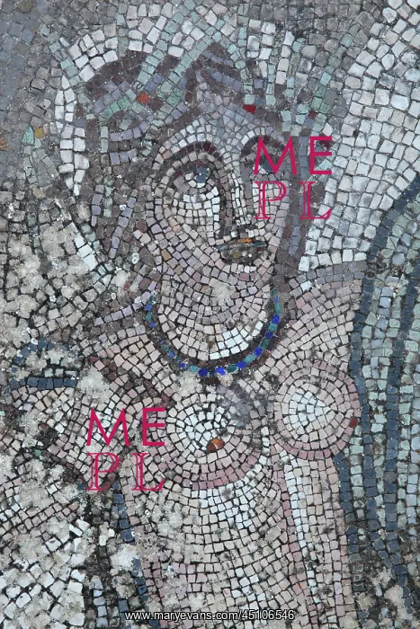 : Abduction of Hylas mosaic, House of the Procession : Abduction of Hylas mosaic, House of the Procession