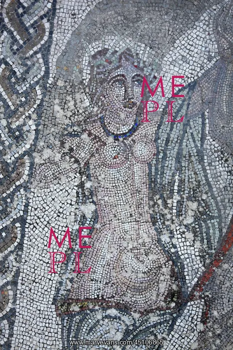 : Abduction of Hylas mosaic, House of the Procession : Abduction of Hylas mosaic, House of the Procession