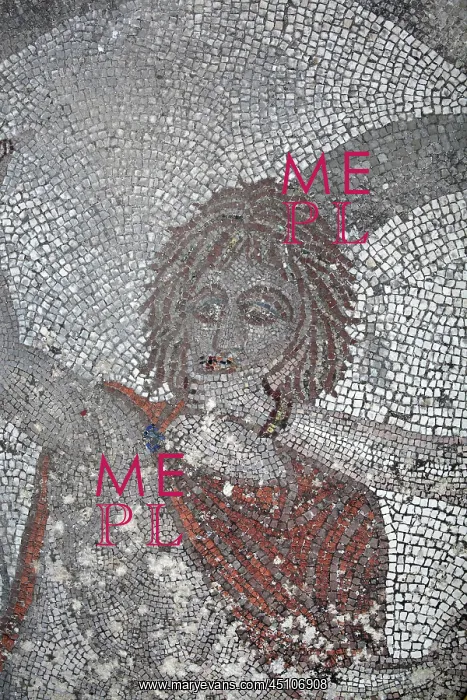 : Abduction of Hylas mosaic, House of the Procession : Abduction of Hylas mosaic, House of the Procession