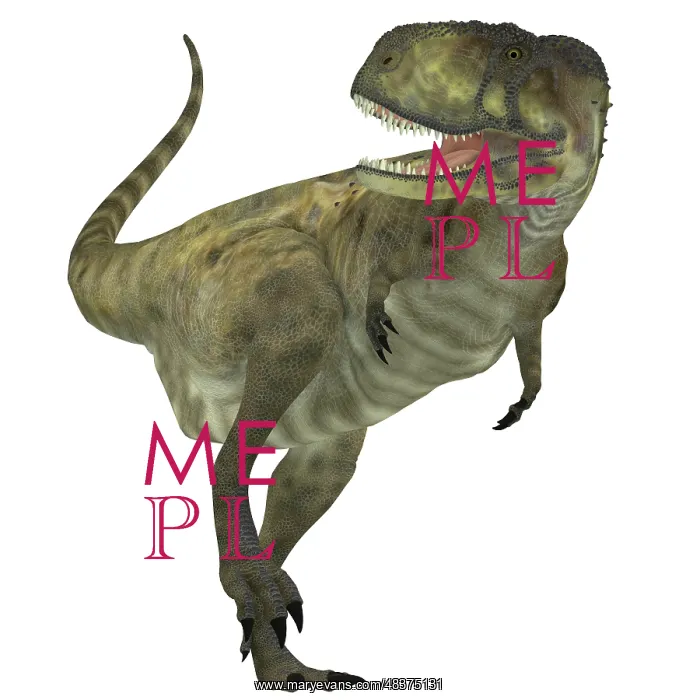 : Abelisaurus dinosaur, white background : Abelisaurus dinosaur, white background