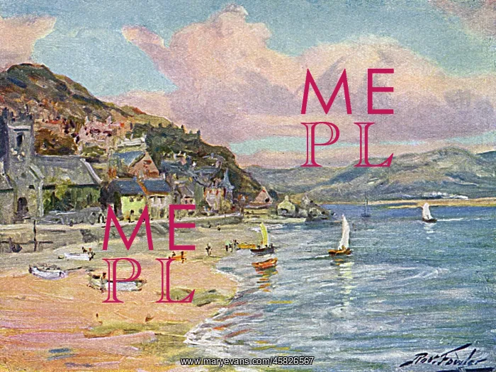  : ABERDOVEY / BEACH 1905
