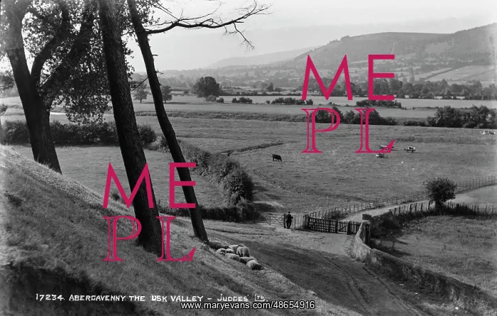 : Abergavenny in the Usk Valley : Abergavenny in the Usk Valley