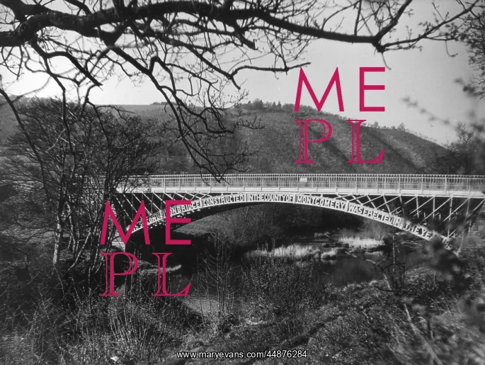 : ABERMULE BRIDGE : ABERMULE BRIDGE