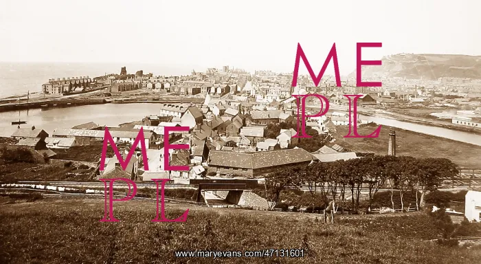  : Aberystwyth Victorian period