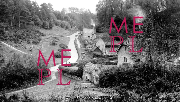  : Abinger, Abinger Bottom 1924