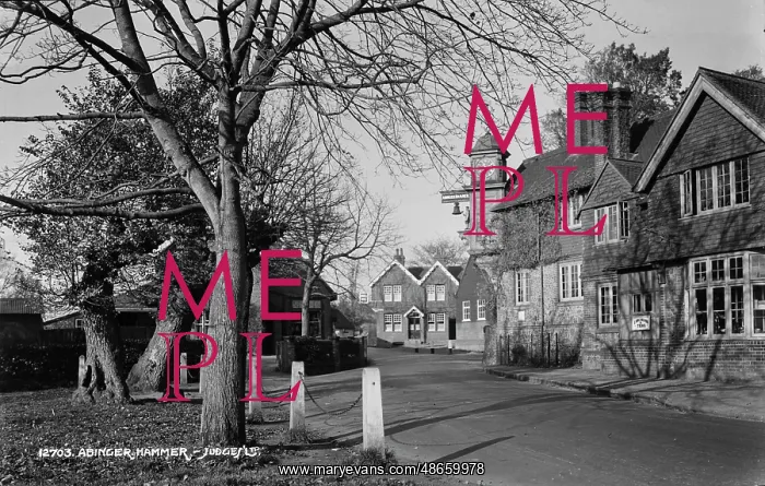 : Abinger Hammer Village Scene : Abinger Hammer Village Scene