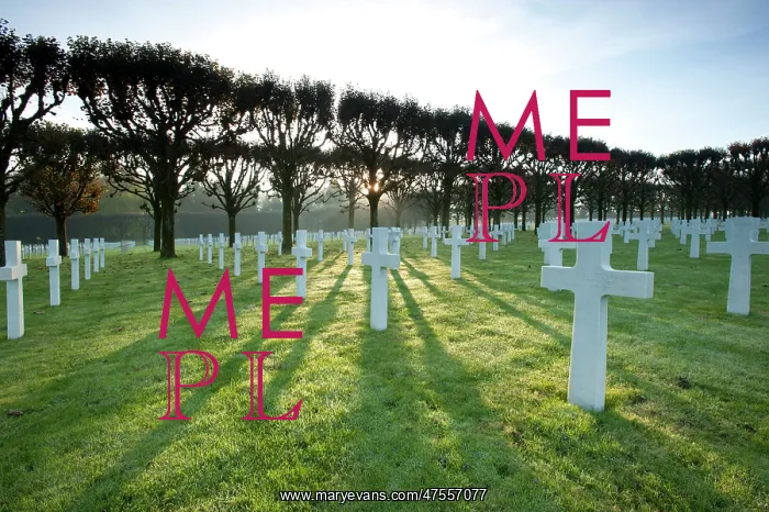 : ABMC Meuse Argonne Cemetery