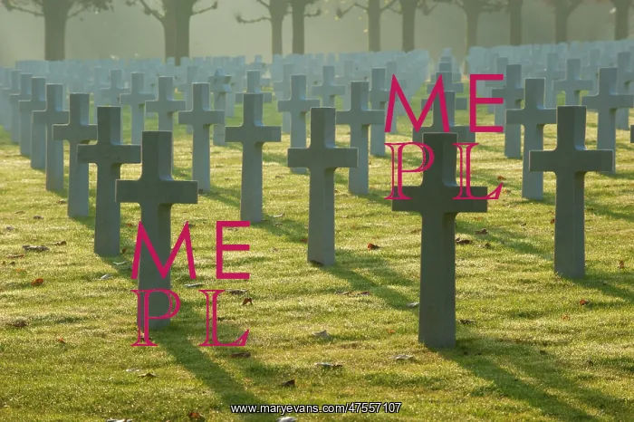  : ABMC Meuse Argonne Cemetery